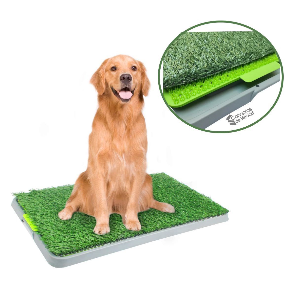 TAPETE: BAÑO PARA PERROS